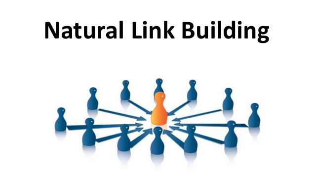 natural link 084501
