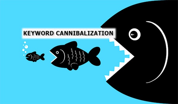 keyword cannibalization la gi 2
