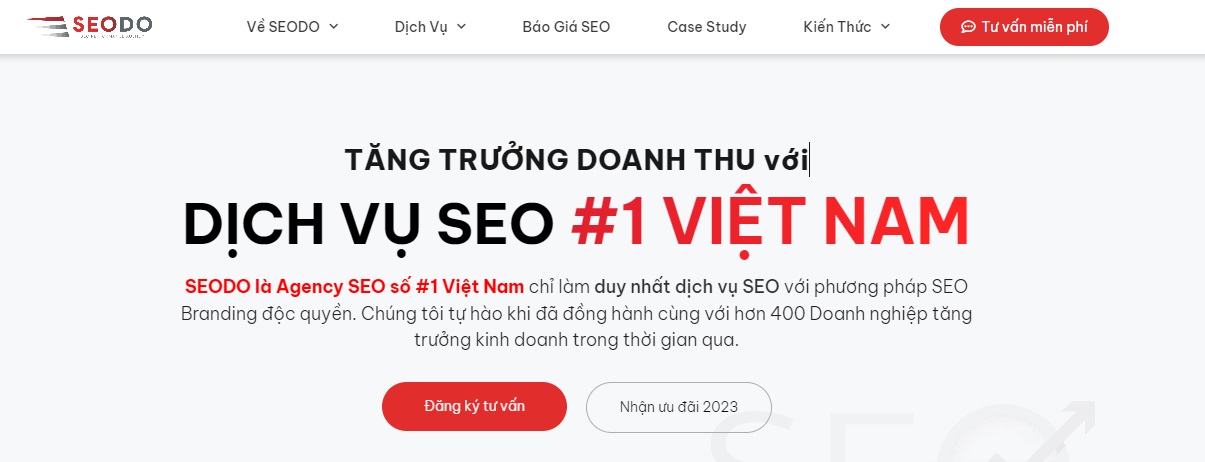 SEO agency SEODO