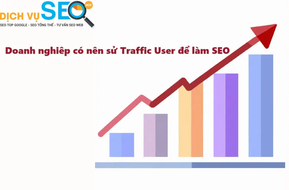 Doanh nghiệp có nên sử dụng Traffic User