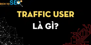 Traffic User là gì? Có nên dùng Traffic User để làm SEO?