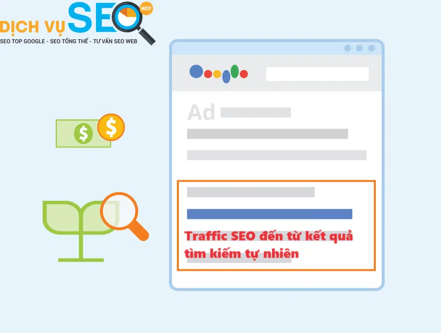Organic Search