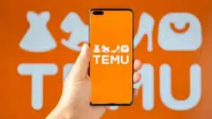 temu 2