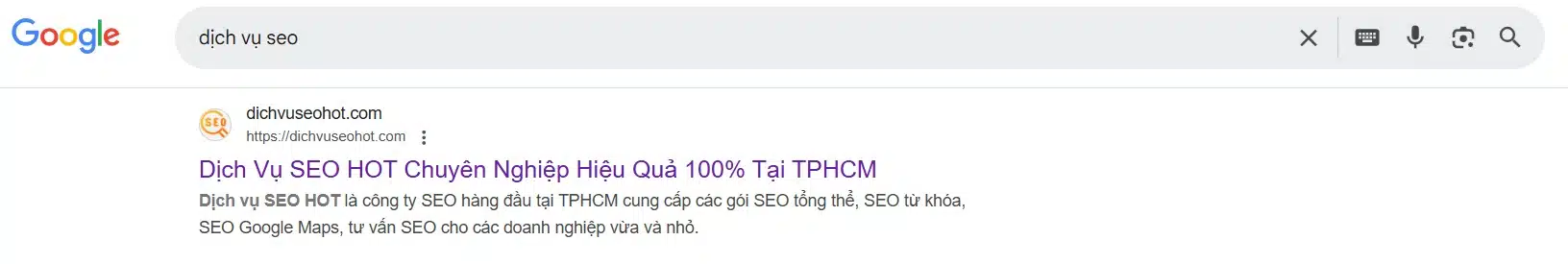 vi du ket qua tim kiem dich vu seo