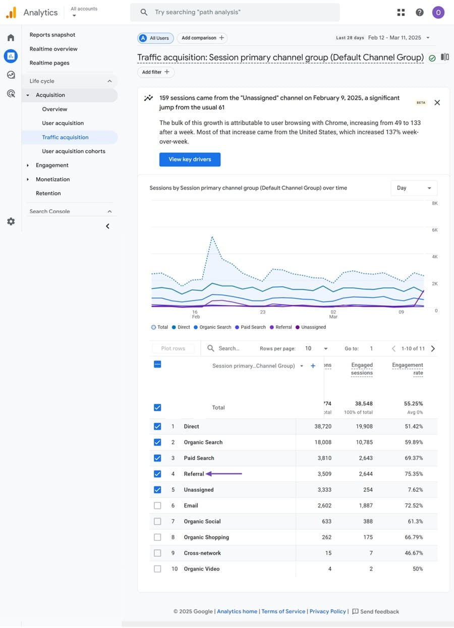 View your traffic Google Analytics