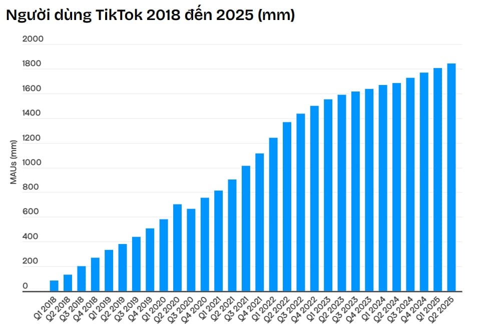 thong ke nguoi dung tiktok