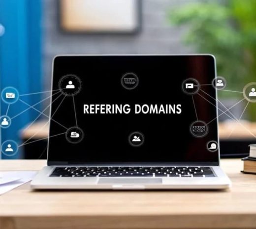 referring domain